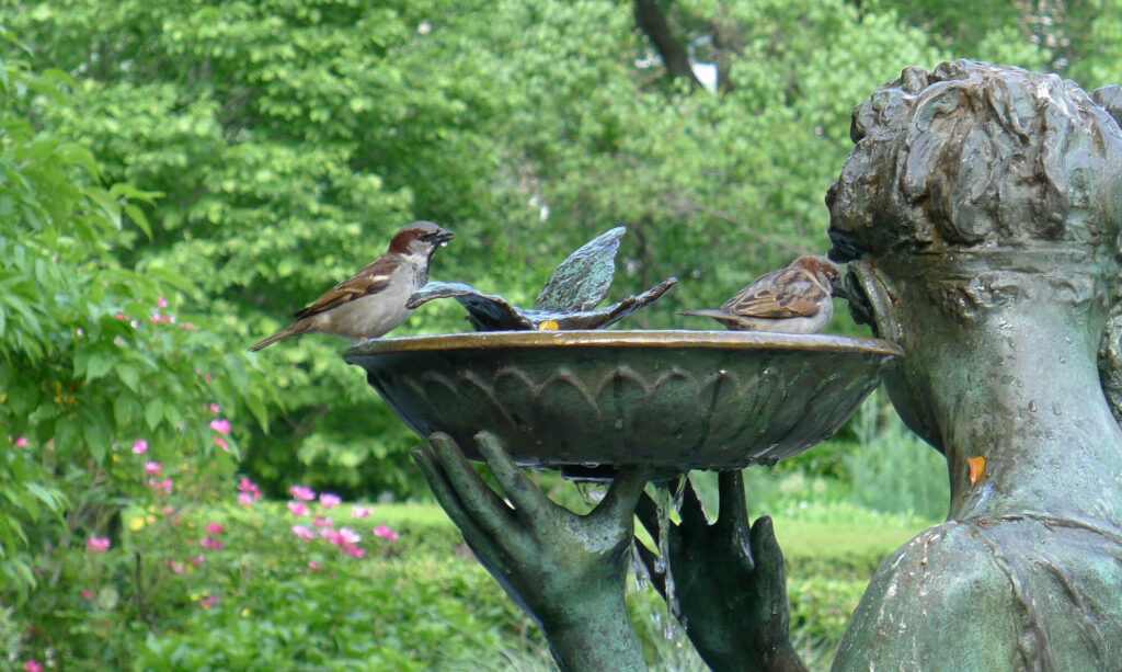 Secret Garden Bird Bath, Conservatory Garden, NYC